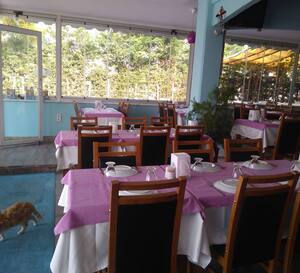 poyraz balik buyukcekmece merkez istanbul zomato